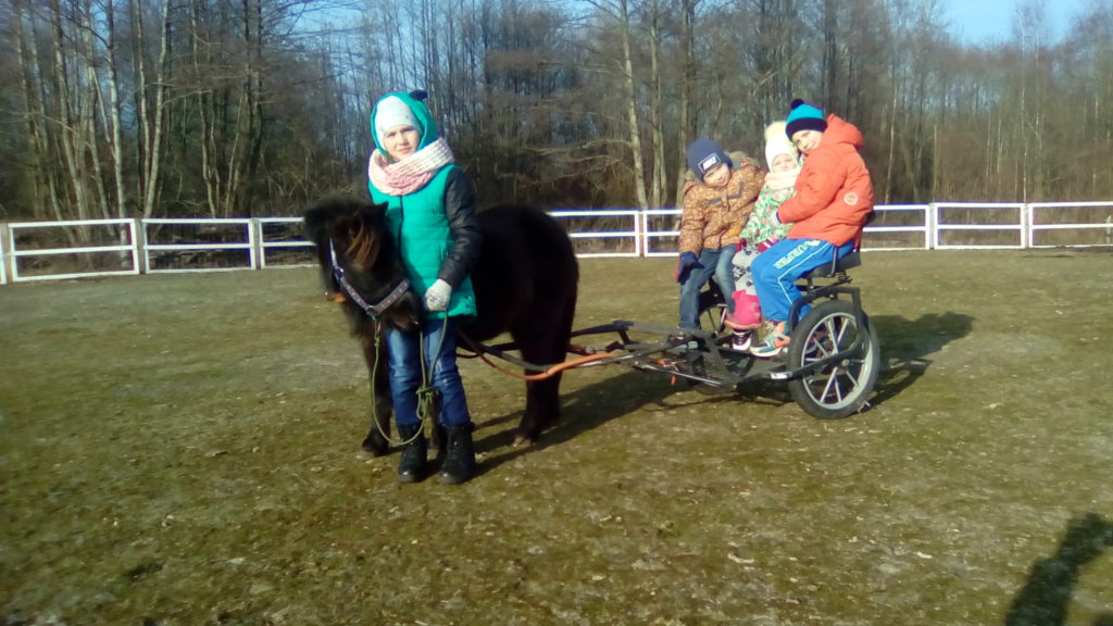 Отдых с ребенком. Калининград. Пони ферма.