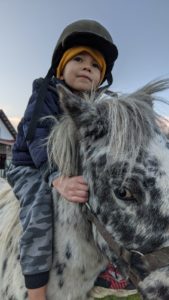 Катание ребенка на пони. Калининград